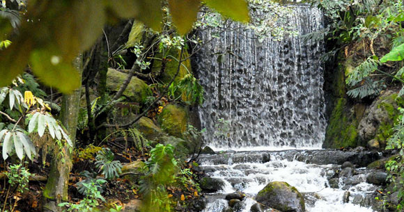 Cascadas en el Jardín Botánico