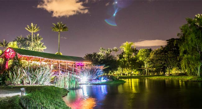 Jardín Botánico de noche