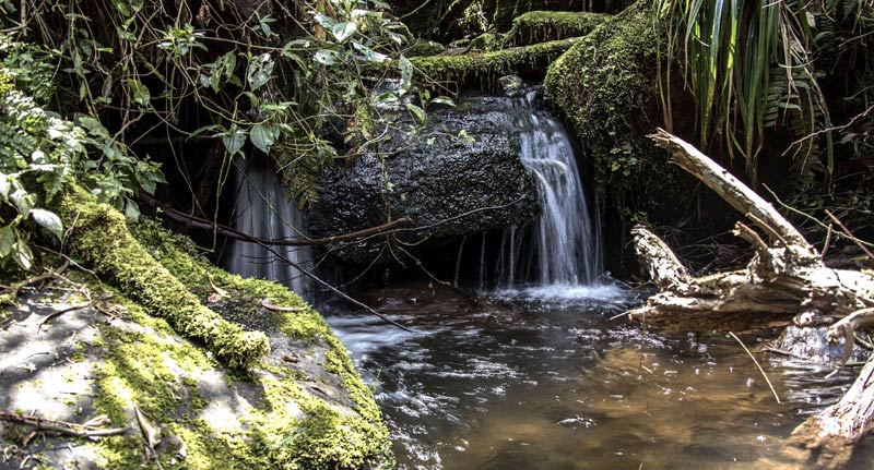 Cascada quebrada la vieja