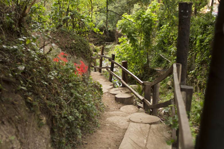 Sendero quebrada la vieja