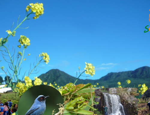Agroparque Los Soches