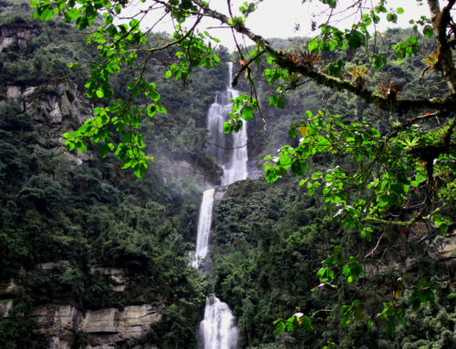 Parque Aventura ‘La Chorrera’
